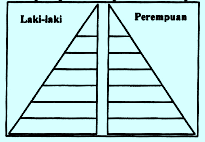 Soal UN piramida penduduk